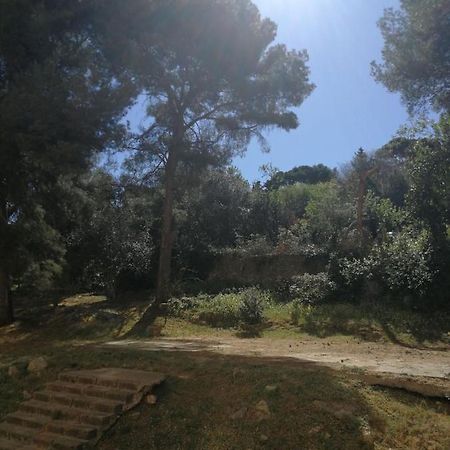 F3 Lumineux Confortable Σετ Εξωτερικό φωτογραφία