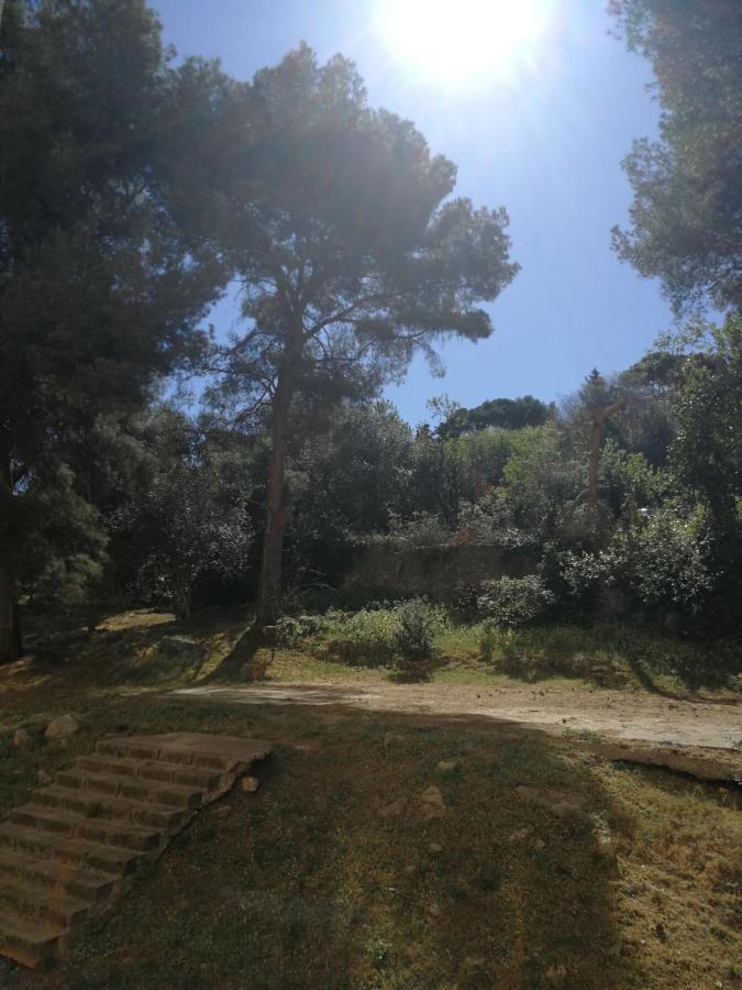 F3 Lumineux Confortable Σετ Εξωτερικό φωτογραφία